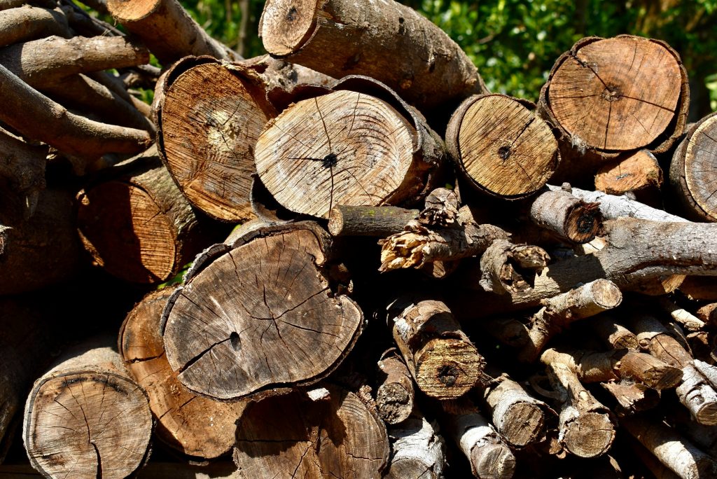 Beitragsbild von Hallo Welt