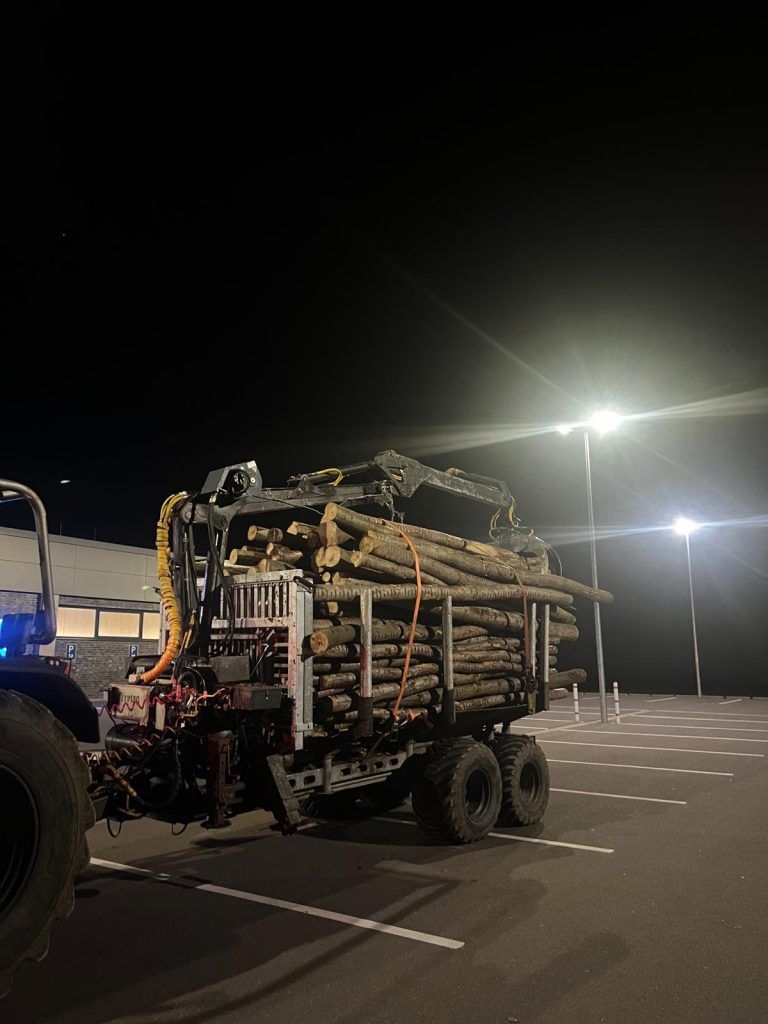 Abtransport von Holz