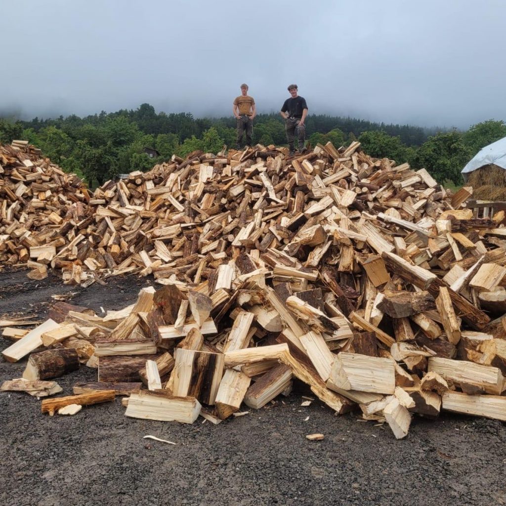 Ofenfertiges Brennholt FreyCon