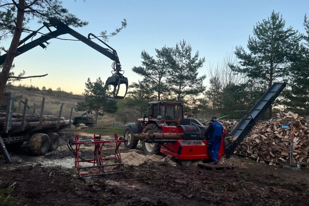 Effizienter Holzumschlag vor Ort