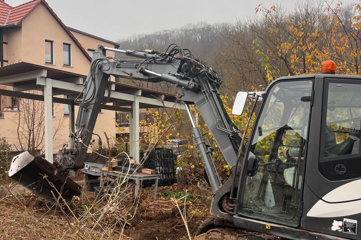 Rodung: Entfernen von Büschen, Hecken und Bäumen